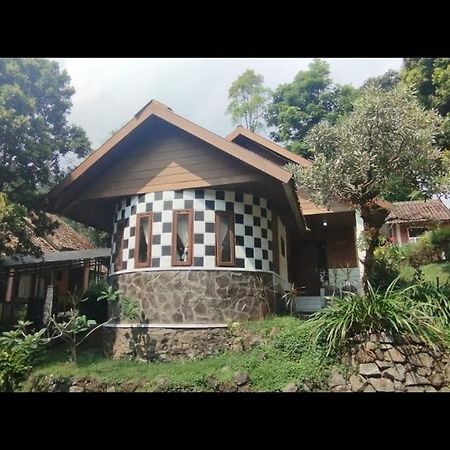 Forest Resort & Onsen Claket المظهر الخارجي الصورة