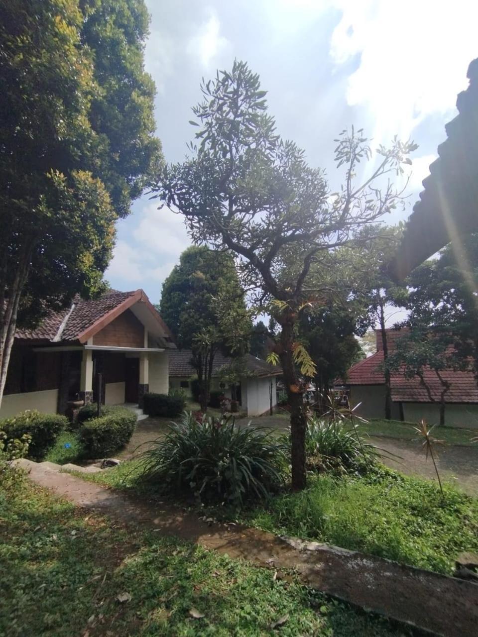 Forest Resort & Onsen Claket المظهر الخارجي الصورة